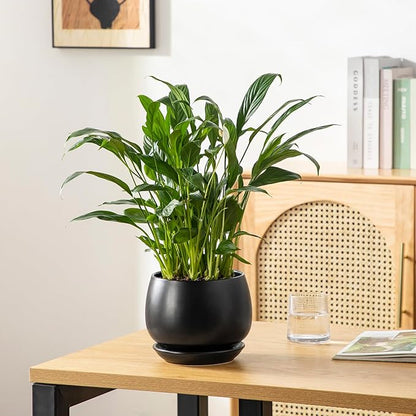 vancasso 3-Pack Ceramic Plant Pots, 3.7/4.8/6.2 Inch Indoor Planters with Saucers & Drainage Hole Planter pots for Indoor Plants and Flower, Black