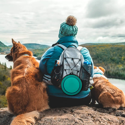 Collapsible Dog Bowls-2 Pack Large Size for Large/Medium Dogs, Dog Travel Water Bowl, Dog Cat Portable Water Bowl, Dog Pet Feeding Watering Dish Outdoor Hiking Parking Traveling with 2 Carabiners