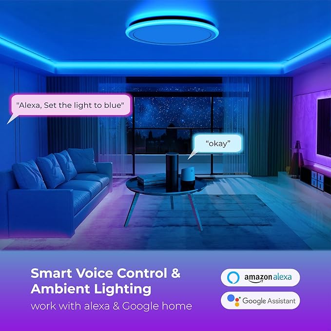 BLNAN Smart RGB LED Flush Mount Ceiling Light with Remote, 13 Inch 24W Dimmable Color Changing Low Profile Wired White Fixture, Works with Alexa Google Home App for Bedroom Living Kids Room Party