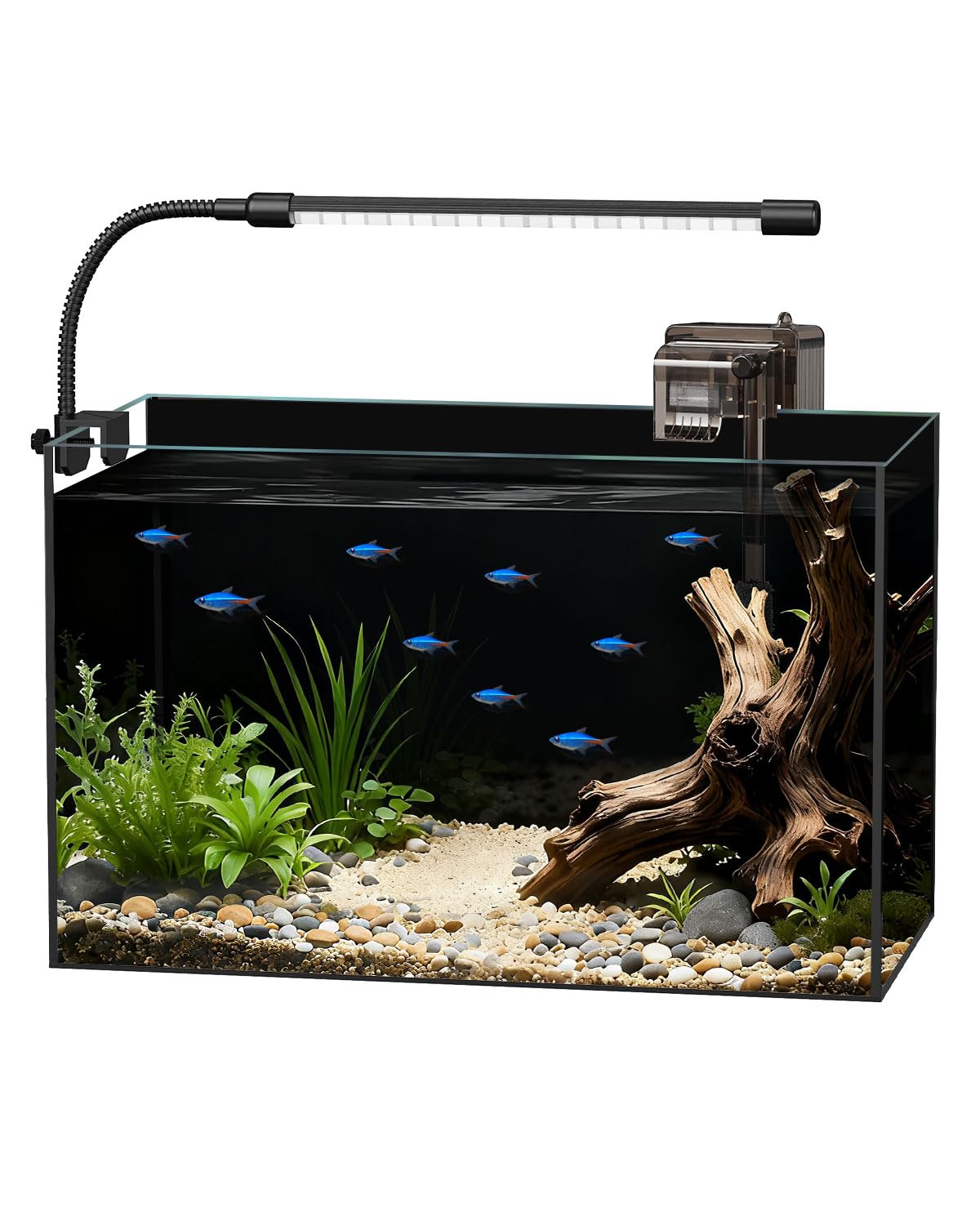 Glass Fish Tank Kit, 5 Gallon Betta Fish Tank Aquarium Starter Kit with Filter, Lights, Lid, for Betta, Goldfish, Small Fish or shrimg