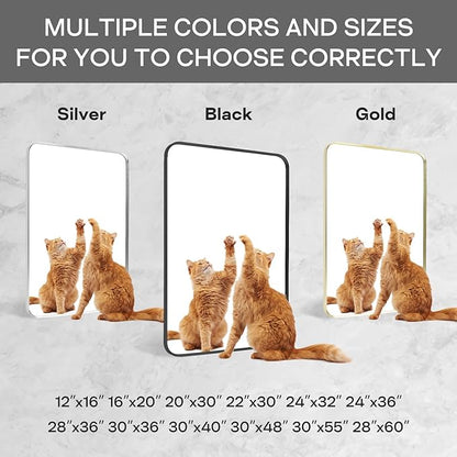 Brushed Nickel Bathroom Wall Mirror, Silver Metal Framed Large Rounded Corner Rectangle Mirror, Tempered Glass, Shatter Proof, Hangs Horizontally or Vertically (28" x 60", Silver)