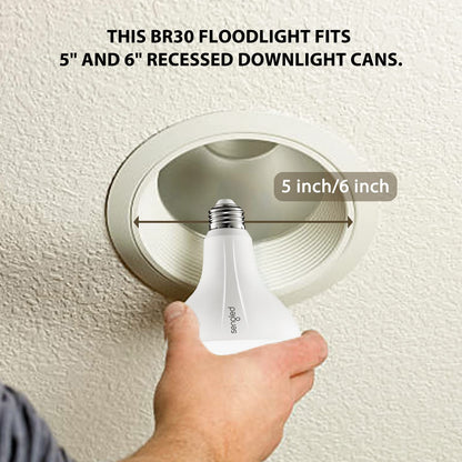 Sengled Smart Light Bulbs, Zigbee Hub Required, Works with Alexa and SmartThings, Voice Control with Google Home and Echo with built-in Hub, Soft White 60W Equivalent A19 Dimmable Smart Bulbs, 4-Pack