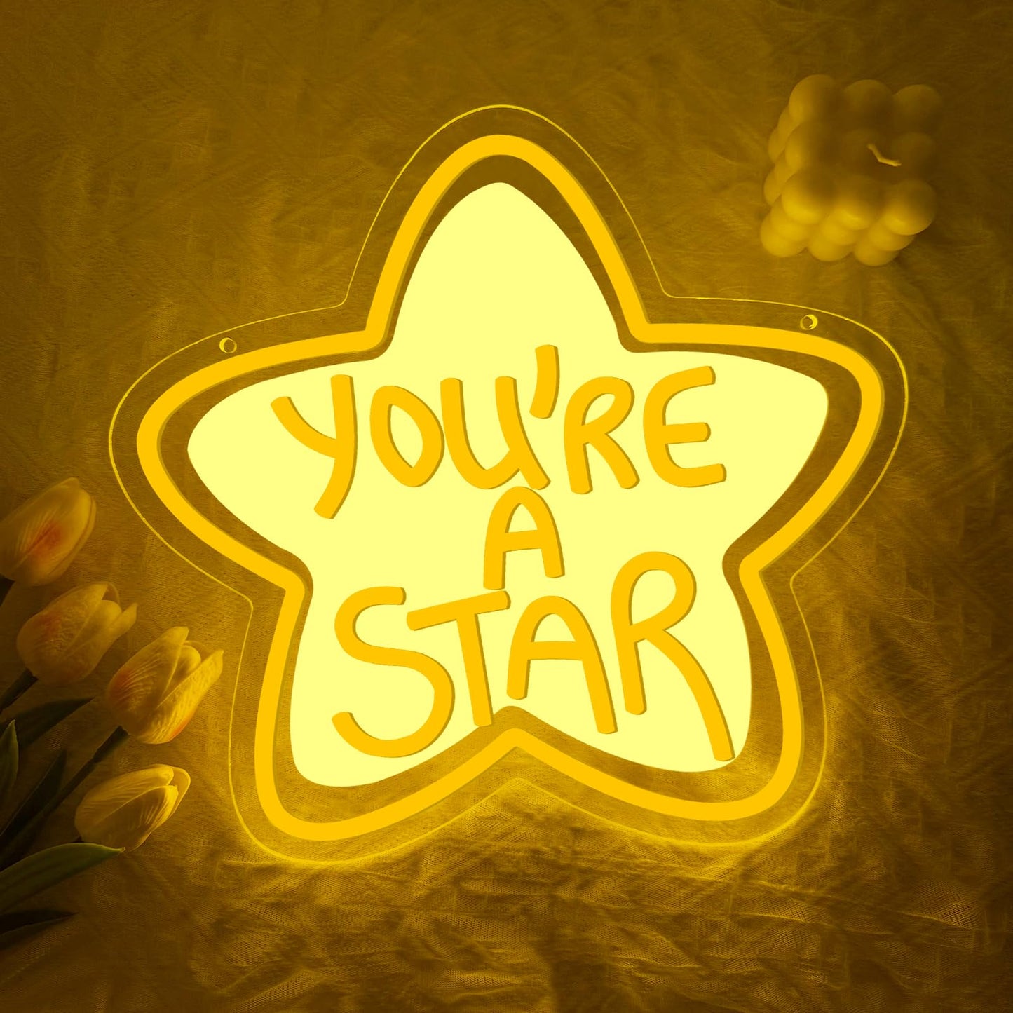 You're A Star Neon Sign,Star Dimmable LED Light Signs for Wall Art Decor,Inspirational Backdrop for Bedroom Club Party Kids' Rooms Classrooms,Gift for Women Man Teen USB Powered（13.8"*11.6"）