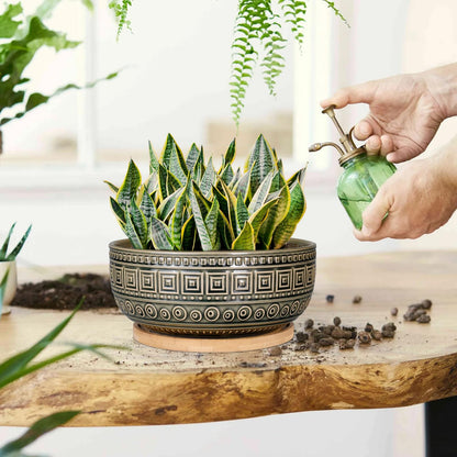 G EPGardening 8 Inch Ceramic Succulent Planter Pots Round Shallow Bonsai Planter Pot for Indoor Plants with Drainage and Bamboo Saucer Gray
