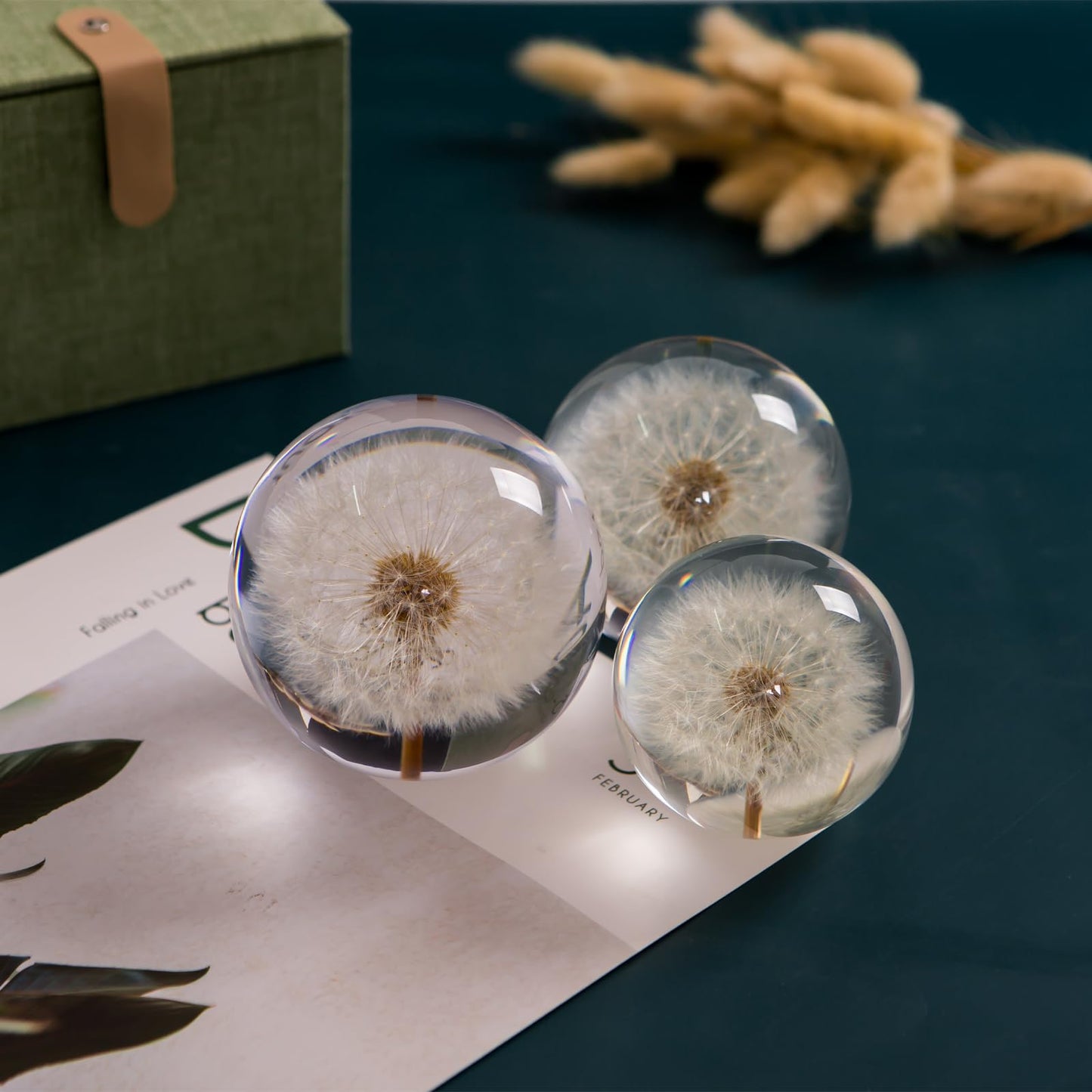 Paperweight Dandelion Dream Ball. Crystal Wishing Ball. Unique Paperweight Made of Dandelion. Gift for Women Men (Mom, Dad, Teacher), Birthday, Wedding, Valentine's Mother's. (9CM)