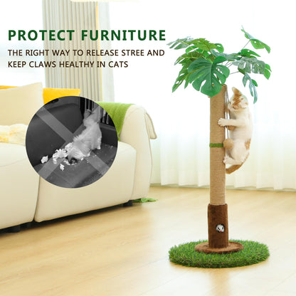Woochpet Cat Scratching Post for Indoor Cats and Kitten - 35.43" Tall Cat Scratching Post with Sisal Rope,Palm Tree Cat Scratch Post with Hanging Ball