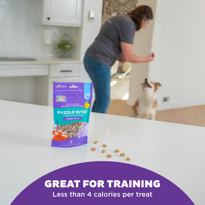 Outward Hound by Nina Ottosson Puzzle Bitez USA Made Dog Treats, Pumpkin Flavor, Bite-Sized Training Reward and Interactive Puzzle Toy Treats, 7.5oz