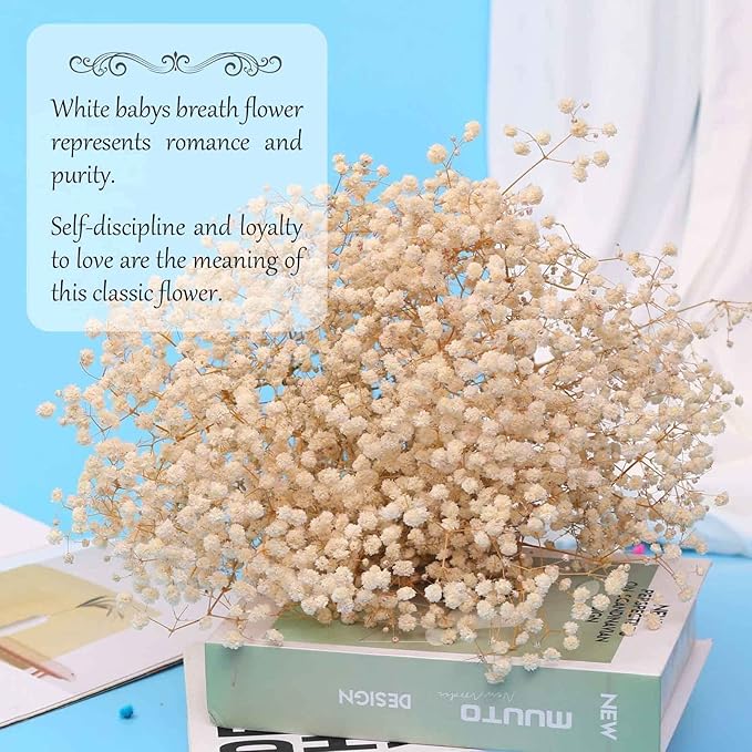 Dried Babys Breath Flowers Bouquet-17 Inch 5000+ Ivory White Dry Flowers, Natural Gypsophila Branches for Wedding, Table Vase Decor, DIY Wreath Floral, Home Office Party Garden Decoration (6OZ)