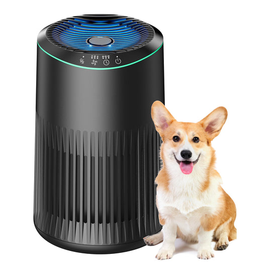 Air Purifiers for Bedroom Home, Air Purifier for Smoke Odors with Fragrance Sponge, Small Air Purifier with Sleep Mode for Bedroom Office, Blue Night Light, White, 1 Pack+3 Modes