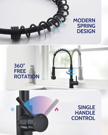 Kitchen Faucet with Pull Down Sprayer, High Arc Single Handle Stainless Steel Kitchen Sink Faucet with Sprayer for Rv Camper, Matte Black