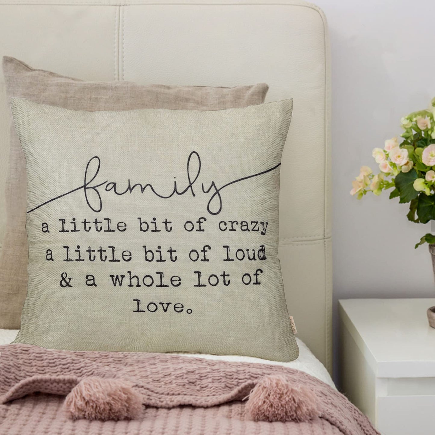 Fjfz Family a Little Bit of Crazy Decorative Throw Pillow Covers, Farmhouse Quote Home Rustic Decorations, Christmas Inspirational Gifts Winter Cotton Linen Cushion Case Decors for Sofa Couch 18 × 18