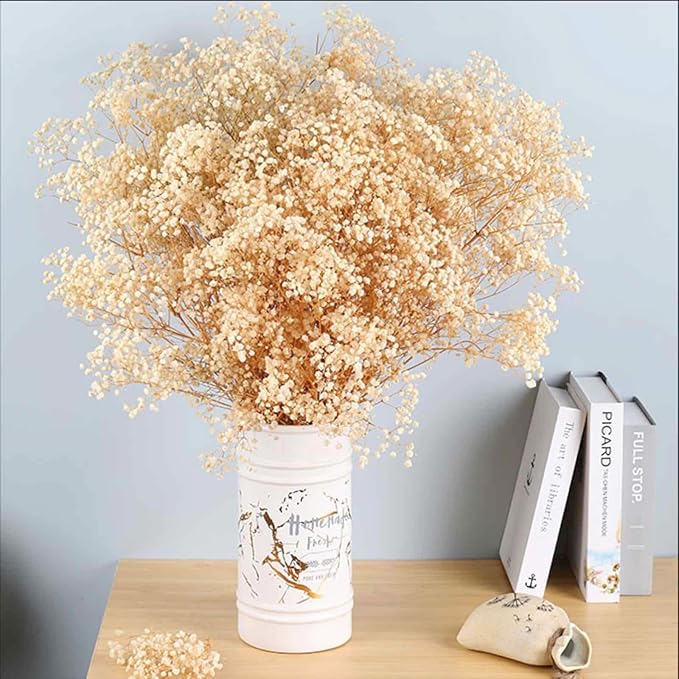 Dried Babys Breath Flowers Bouquet-17 Inch 5000+ Ivory White Dry Flowers, Natural Gypsophila Branches for Wedding, Table Vase Decor, DIY Wreath Floral, Home Office Party Garden Decoration (6OZ)