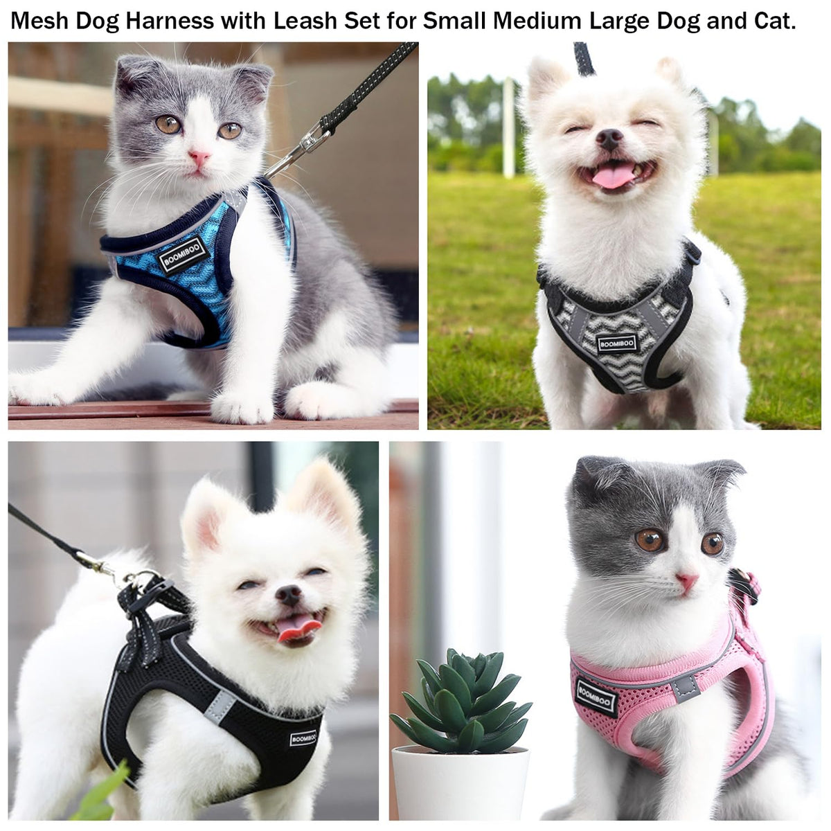 Dog Harness with Leash Set, No Pull Adjustable Reflective Step-in Puppy Pet Vest Harnesses for Small Medium Large Dogs and Cats,Green XS