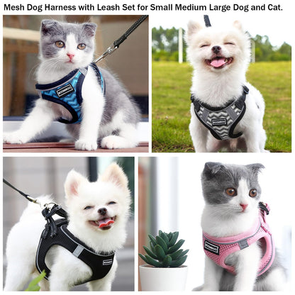 Dog Harness with Leash Set, No Pull Adjustable Reflective Step-in Puppy Pet Vest Harnesses for Small Medium Large Dogs and Cats,Green XS