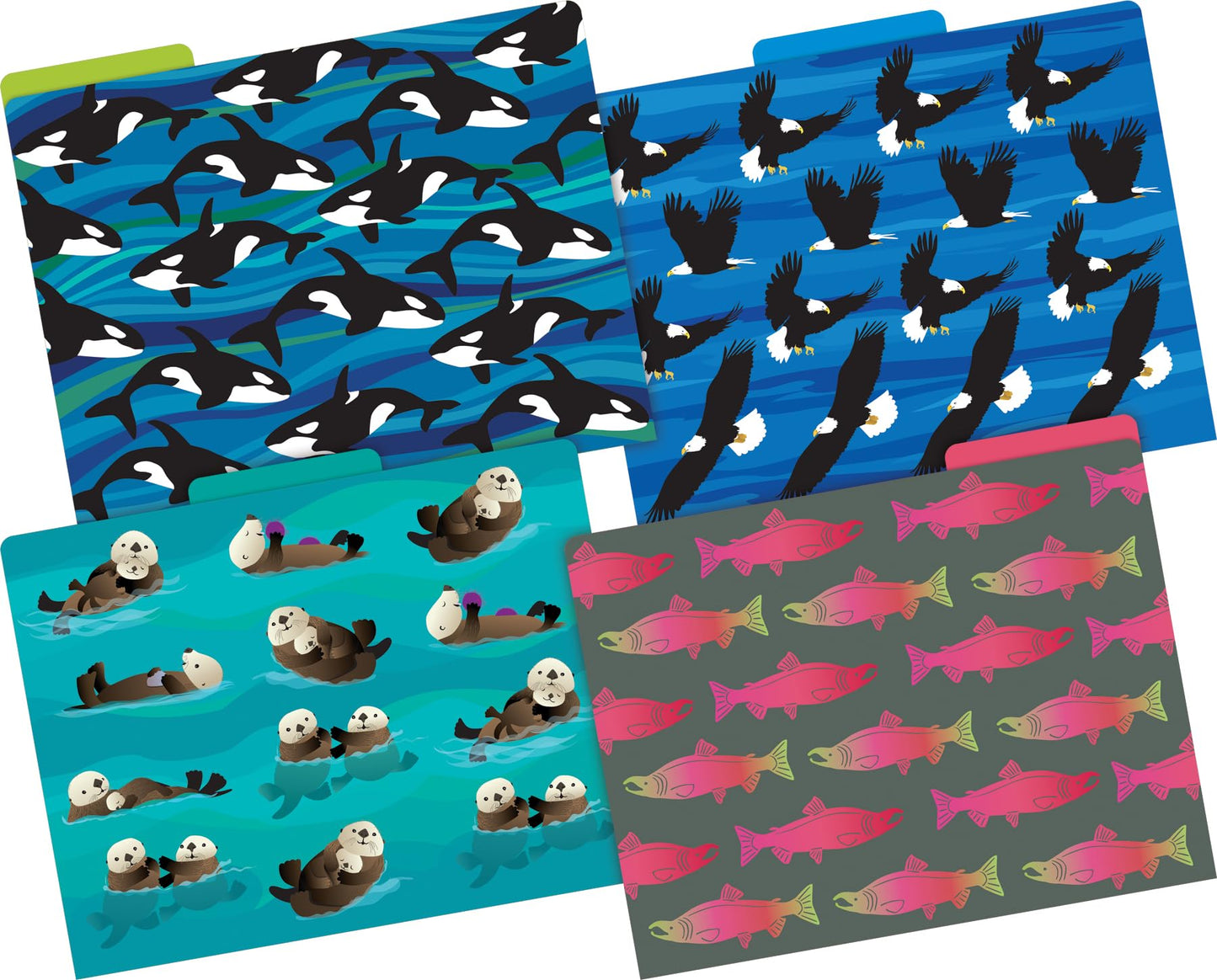 Barker Creek Sea & Sky File Folders Now on Durable 14pt Stock, 12/PK, Letter Size, 1/3 Cut Tabs, Reversible, Home, School and Office Supplies (2015)