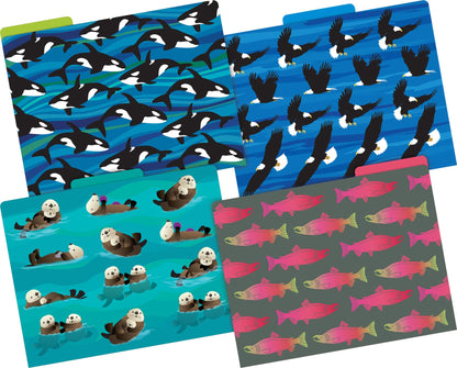 Barker Creek Sea & Sky File Folders Now on Durable 14pt Stock, 12/PK, Letter Size, 1/3 Cut Tabs, Reversible, Home, School and Office Supplies (2015)