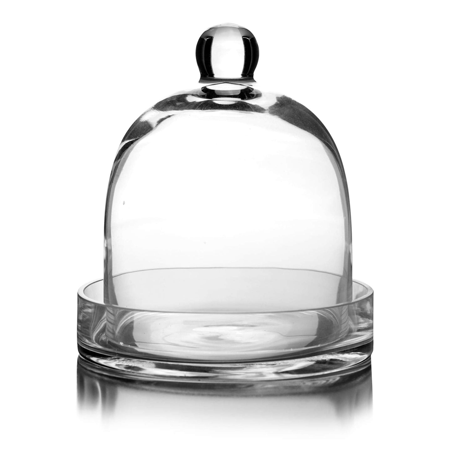 CYS EXCEL Glass Bell Dome Cloche with Glass Base (H:8" W:7") | Multiple Size Choices Terrarium Jar Plant Cover | Cake Dessert Display