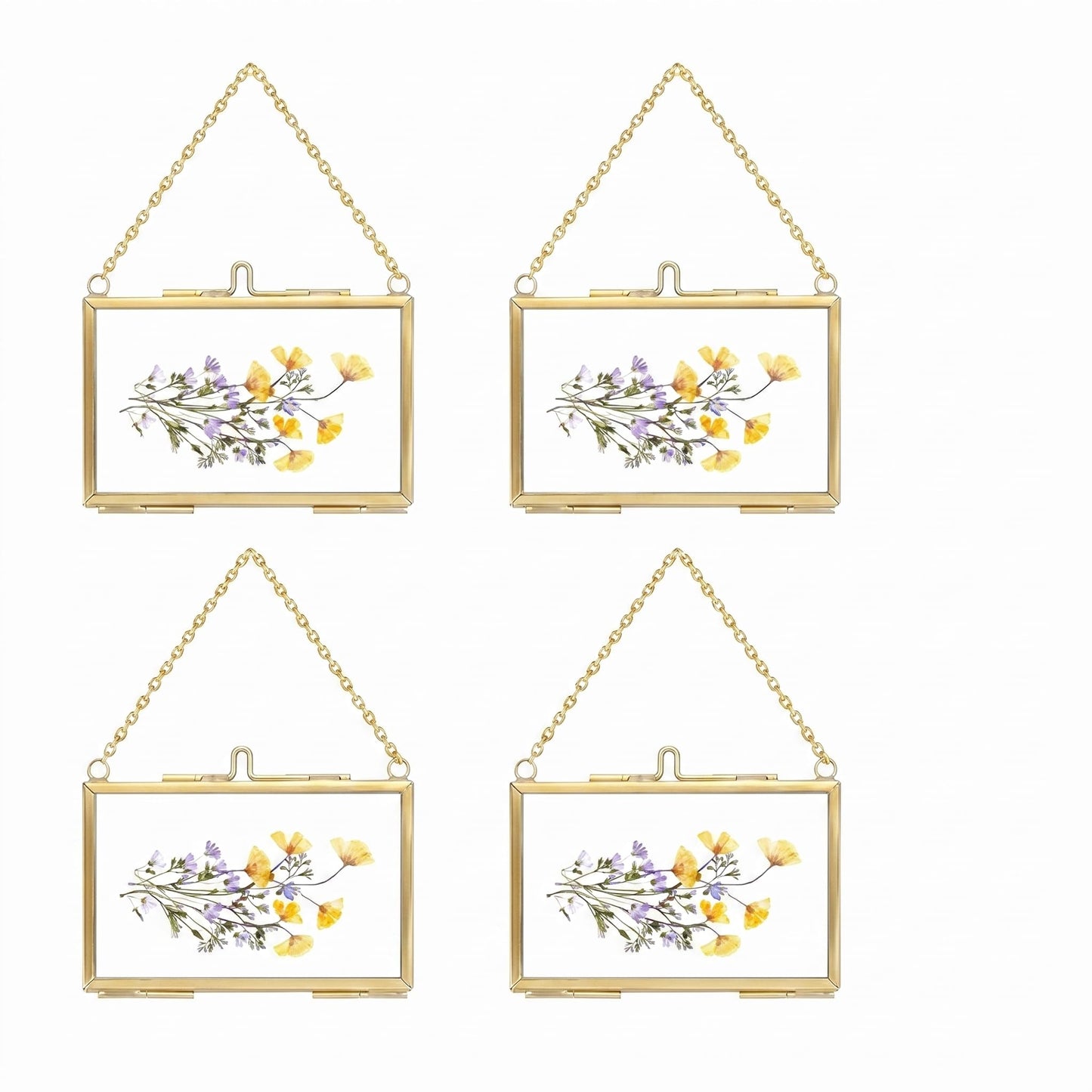 FOCHIER F 4 Pcs Pressed Flower Frame, Wall Hanging Tabletop Display Double Glass Frames with Metal Chain for Pressed Dried Flowers Plants, Horizontal and Vertical Picture Frame, Black, FRAMES ONLY
