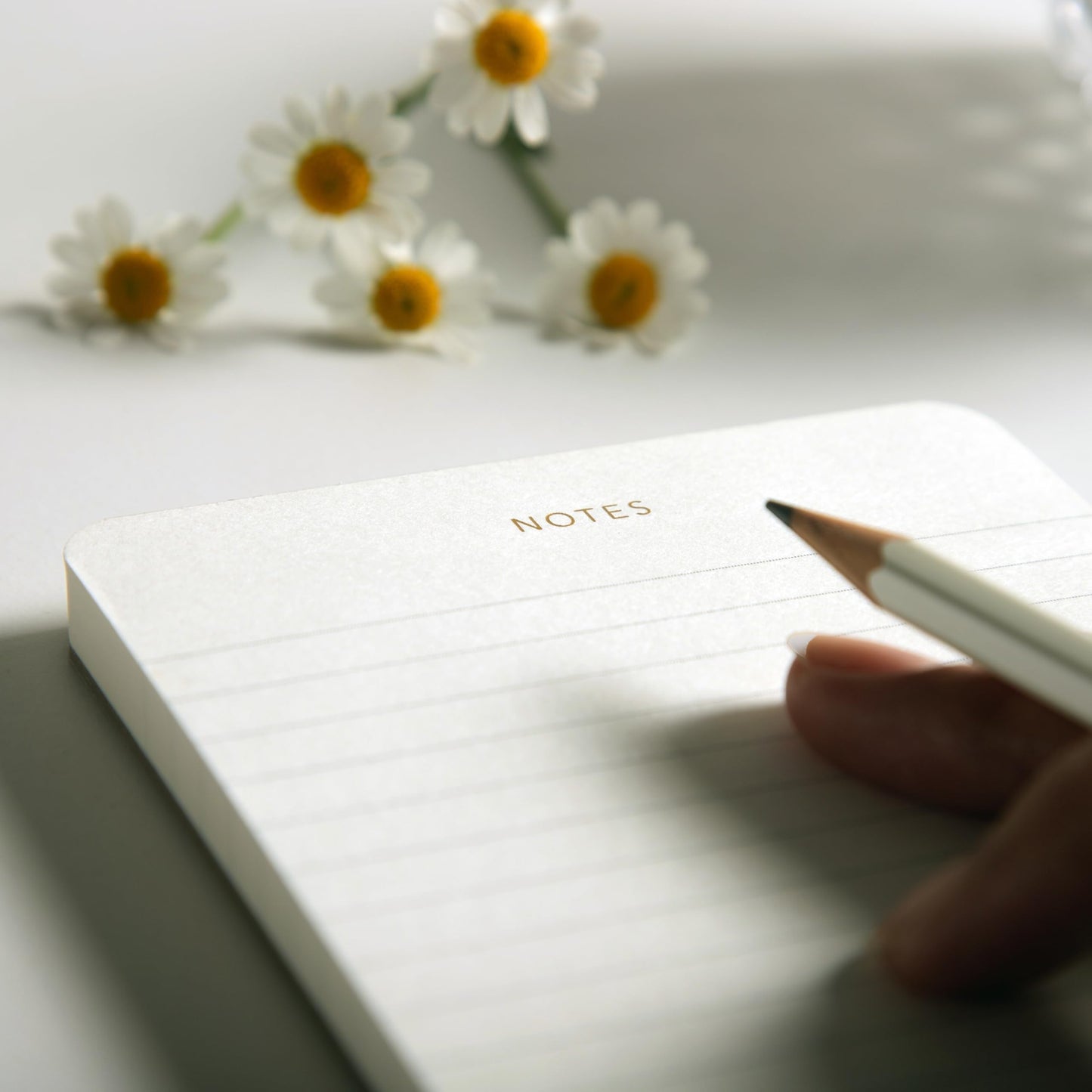 Pinesman - Elegant Desk Notepads for Professionals, Executive's Memo Pads, Minimalist, Gold Foiled, Lined Layout, 3 Pack, 225 Sheets Total (75 Each), 6.3" x 3.9”, 80 GSM, Eco-friendly, FSC™ Certified