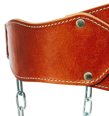 Schiek Leather Dip Belt - Weight Lifting Belt