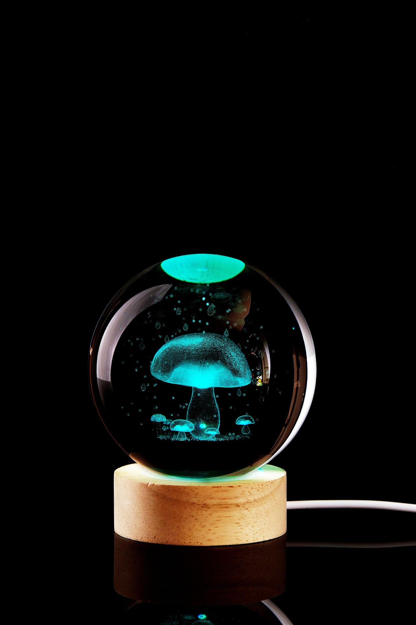 Conalisk 3D Mushroom Crystal Ball Lamp, Lifelike LED Mushroom Night Light, 16 Colors Changing Light, Dimmable Remote Control, Desk Lamp
