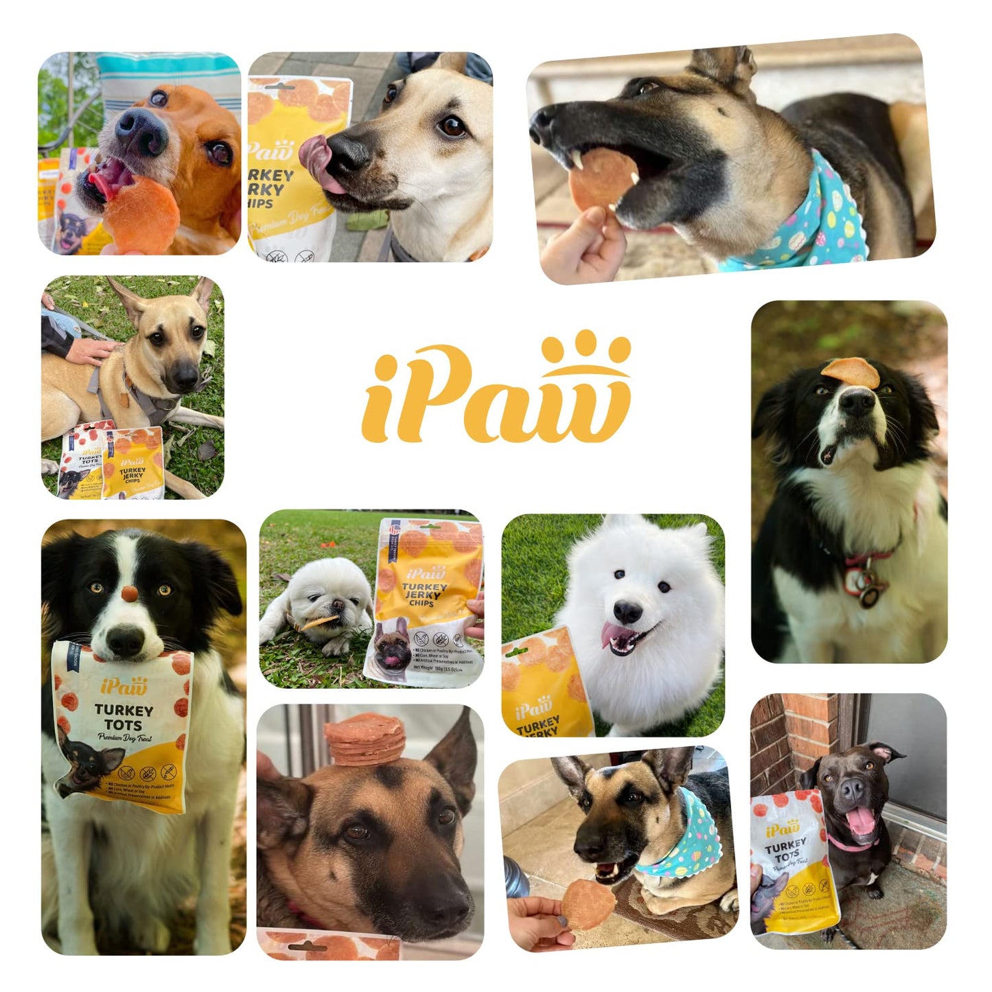 iPaw Turkey Tots Dog Treats for Puppy Training, SQF Certified Human Grade Dog Treat, Hypoallergenic, Easy to Digest (Turkey Tots)