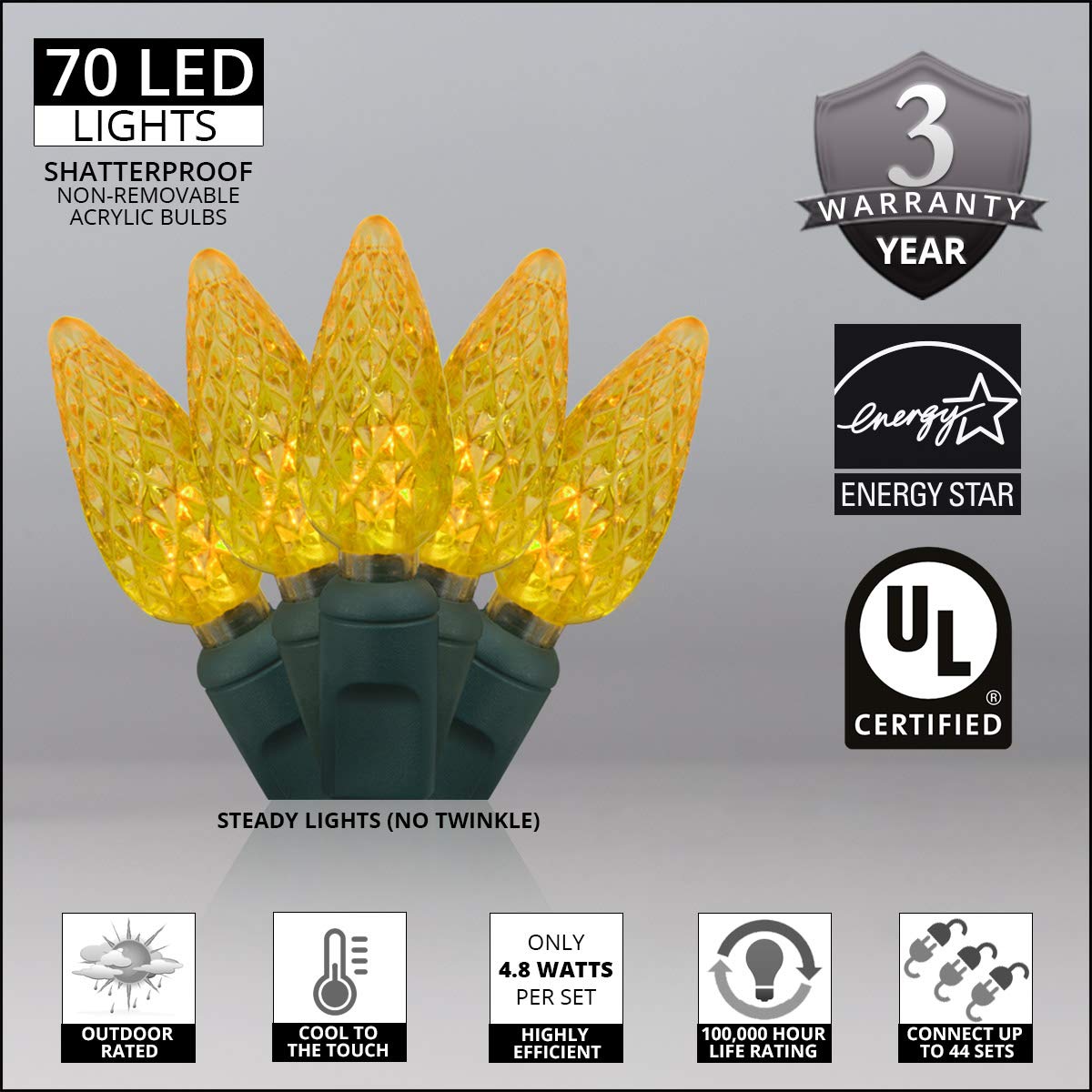 Wintergreen Lighting 24 ft 70 Count C6 Faceted Gold LED Christmas Lights, Green Wire Indoor/Outdoor Commercial Grade String for Holiday Decor