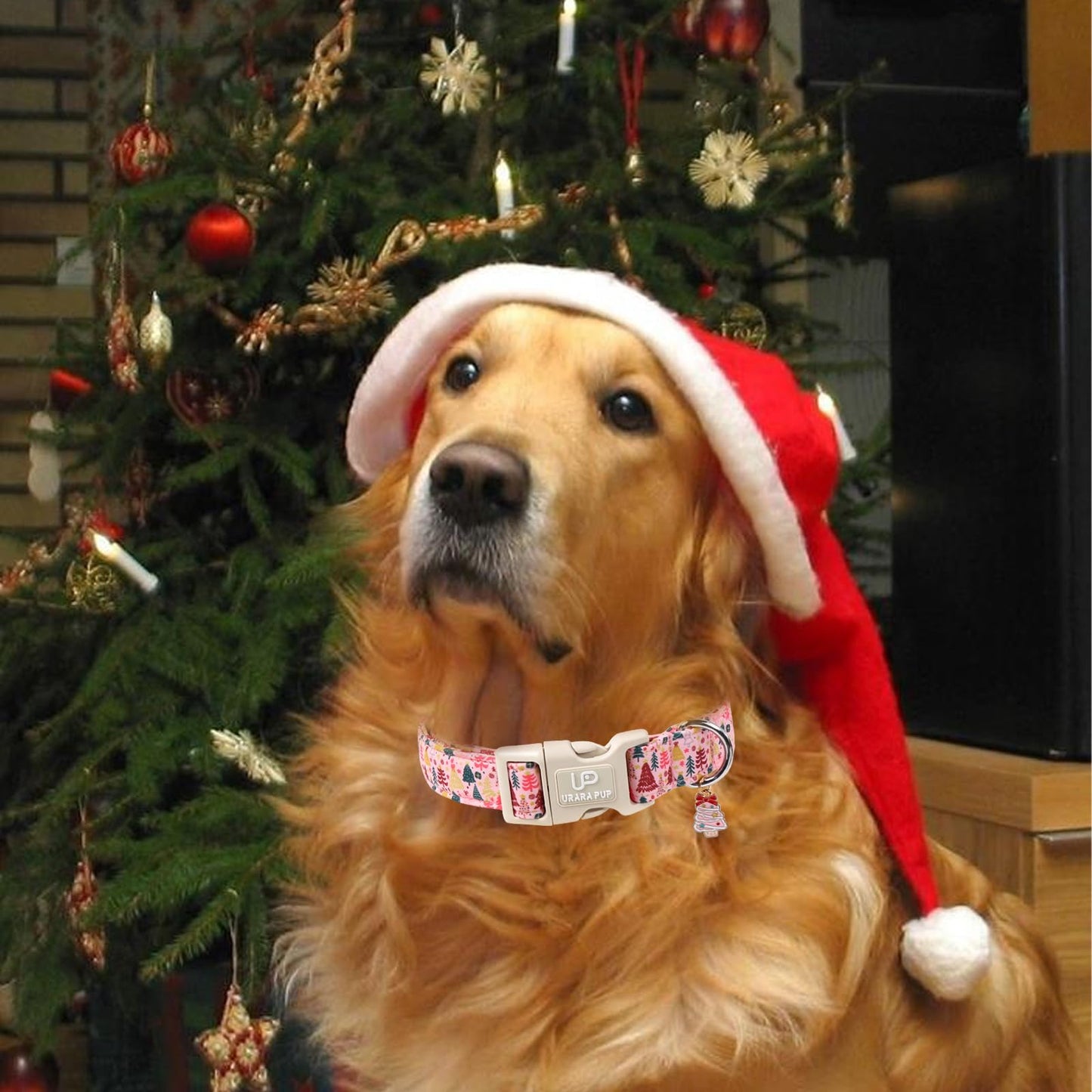 UP URARA PUP Christmas Dog Collar, Pink Christmas Tree for Dogs, Adjustable Pet Collar with Cute Xmas Tree Pendant, Festive Winter Dog Accessories for Small Medium Large Dogs M