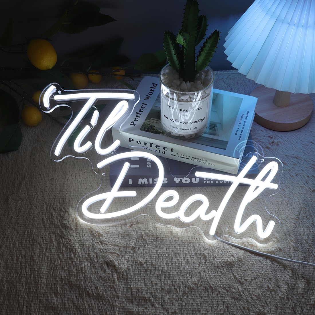 Planzo Til Death LED Neon Sign Bedroom Gothic Birthday Wedding Party Home Living Room Wall Decor Anniversary Engagement Christmas Gift 5V USB Powered with Dimmer Switch 17IN Cold White