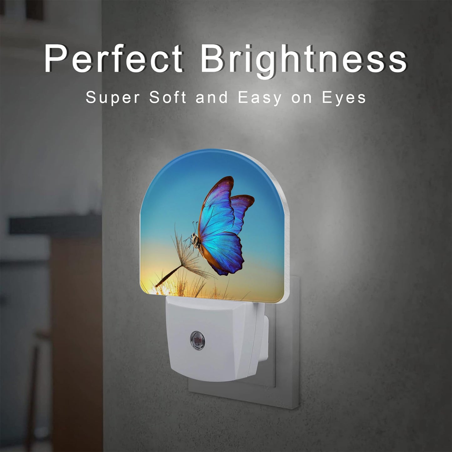 sndheke Blue Butterfly and Dandelion Night Light Plug into Wall, Butterfly in The Sunset Dusk to Dawn Night Light,0.5w Energy Saving Sleep Friendly Nightlights for Kids Boys Girls Home Decor