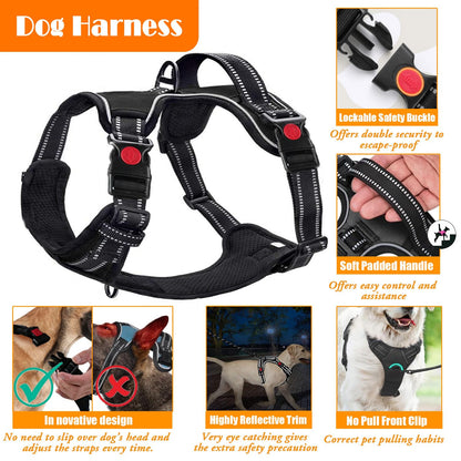 LOBEVE No Pull Dog Harness, Collar & Leash Set | Includes Dog Seat Belt, Collapsible Bowls & Poop Bag Dispenser. Ideal for Training, Walking, Hiking. Fits Small to Large Dogs(Blue-L)