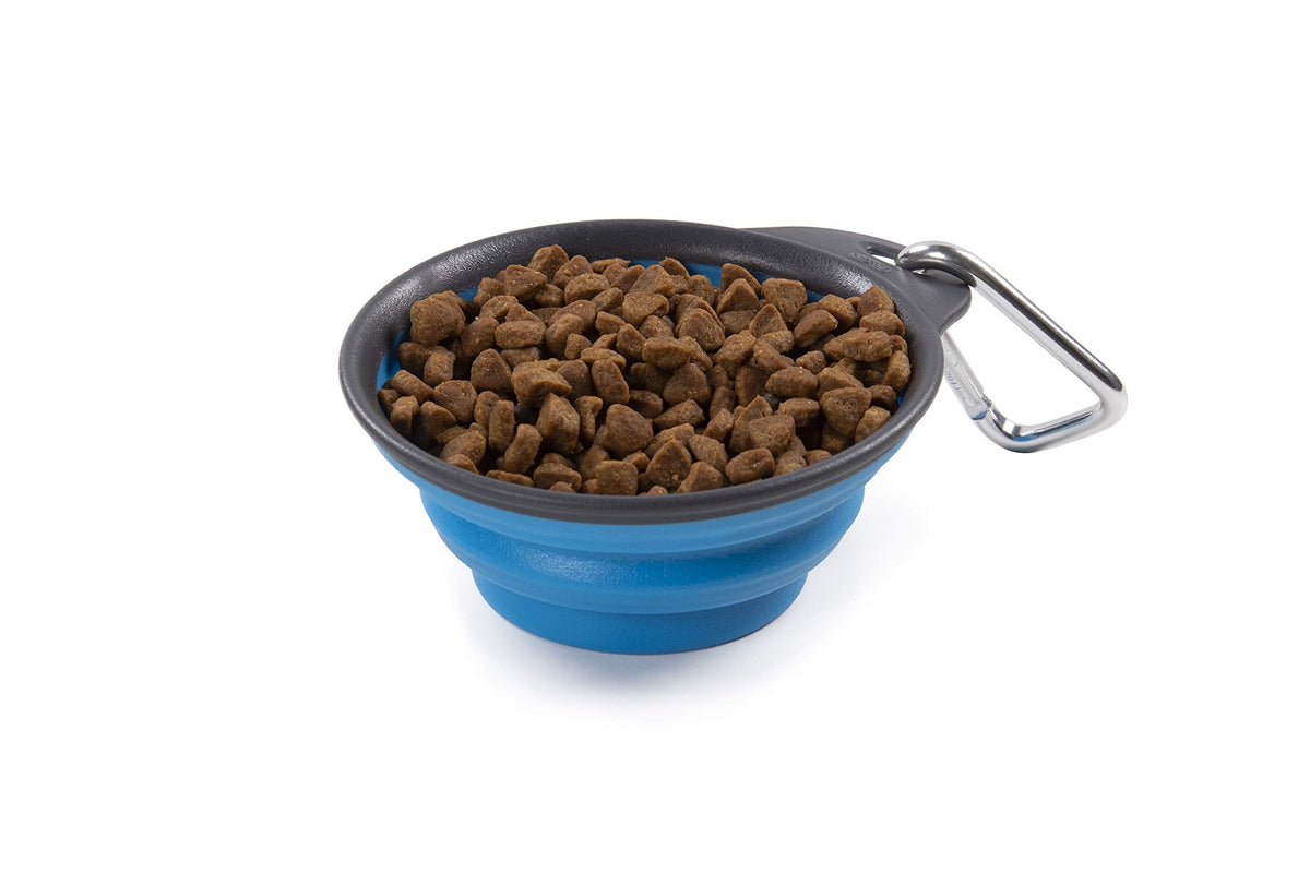 Dexas Popware for Pets Collapsible Travel Cup, Large, Gray/Blue