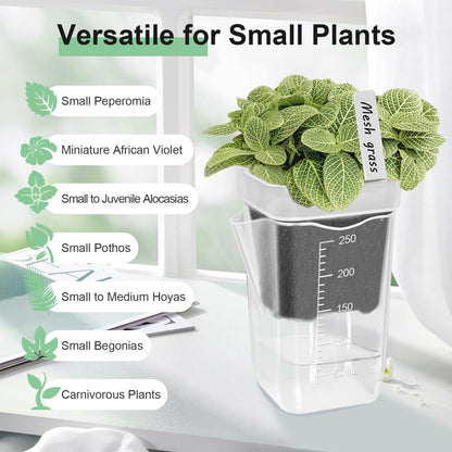 ZPAIO 24 Pack 2.5" Small Self Watering Pots for Indoor Plants, Clear Plant Pots with Drainage & Water Level, Semi Hydroponic Pots for Propagation, African Violet, Cutting and Succulents