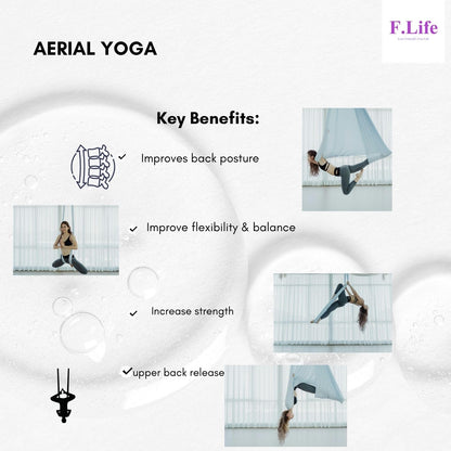 F.Life Aerial Yoga Hammock kit Include Daisy Chain,Carabiner and Pose Guide (Blackish Green)