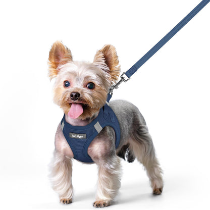 rabbitgoo Dog Harness Small Sized and Leash Set, Step in Soft Light Puppy Vest, Breathable Mesh Pet Harness, Reflective for Safe Outdoor Walking, Navy Blue XS