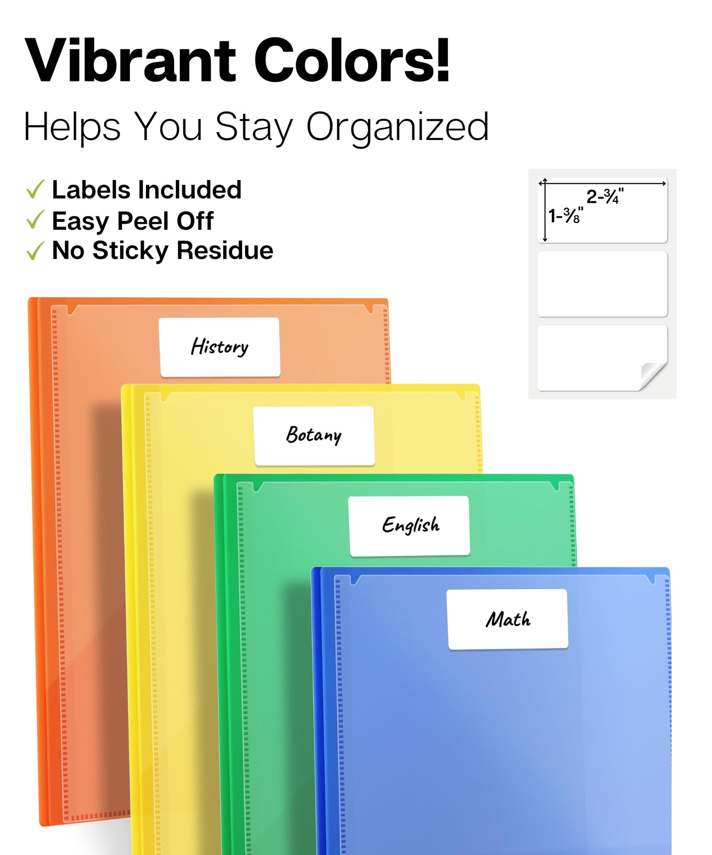 Dunwell 2-Pocket 3-Prong Folders with Clear Front View Pocket, 6 Vibrant Colors, Durable Acid-Free Poly Plastic, 3-Hole Binders with Brads and Pockets, Include Labels