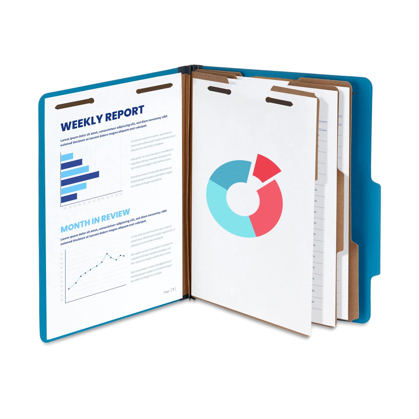 Blue Summit Supplies Dark Classification Folders, 3 Dividers, Letter Size with 2 Inch Tyvek Expansions, Use for Organizing Medical Records & Client Files, Great as Lease Folders, 10 Pack