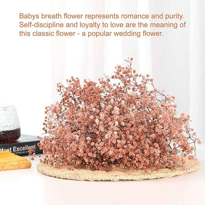 Babys Breath Dried Flowers Bouquet-17'' 1800+ Ivory Dry Flowers, Natural Gypsophila Branches for Wedding, Home Table Vase Decor, DIY Wreath Floral, Fall Thanksgiving Autumn Decoration (Brown, 2oz)