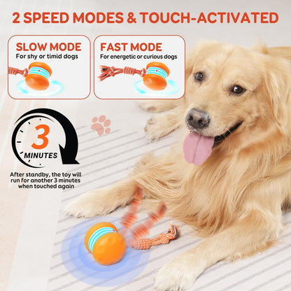 QGI Interactive Dog Toys, Random Path Electric Automatic Moving and Rolling Dogs Toy with Rope for Small Medium Large Dogs, Motion-Activated Dog Stimulation Toy for Boredom Relief (Orange)
