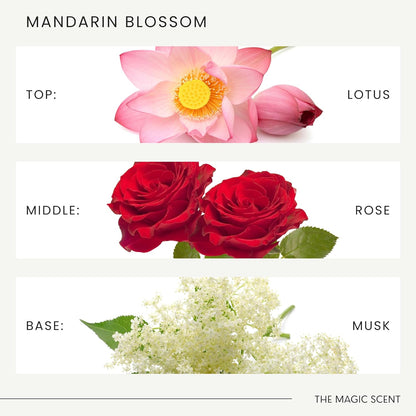 The Magic Scent Mandarin Blossom Diffuser Oil - Cold-Air & Ultrasonic Scented Oils for Diffuser Inspired by St. Regis Hotel, Maldives - Essentiala Oils for Diffusers Aromatherapy 10 ml