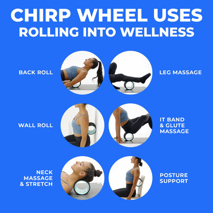 Chirp Wheel Foam Roller – Targeted Back & Neck Relief, Lumbar Spine Stretcher, Spinal Decompression Back Stretcher, Massage Roller with Density Foam for Physical Therapy, Supports 500lbs, 2-Inch Mint