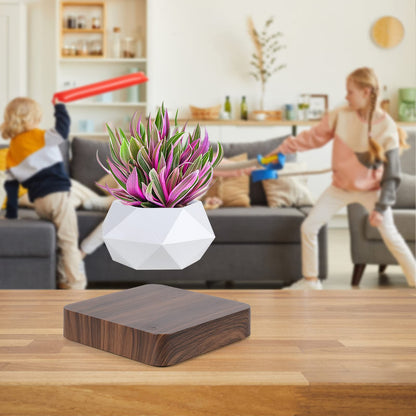 Babook Levitating Air Bonsai Pot,Cool Stuff, Rotation Flower Pot Planters, Potted Plant Home Desk Decor in Flower Pots & Planters from Home & Garden on (Dark Color)