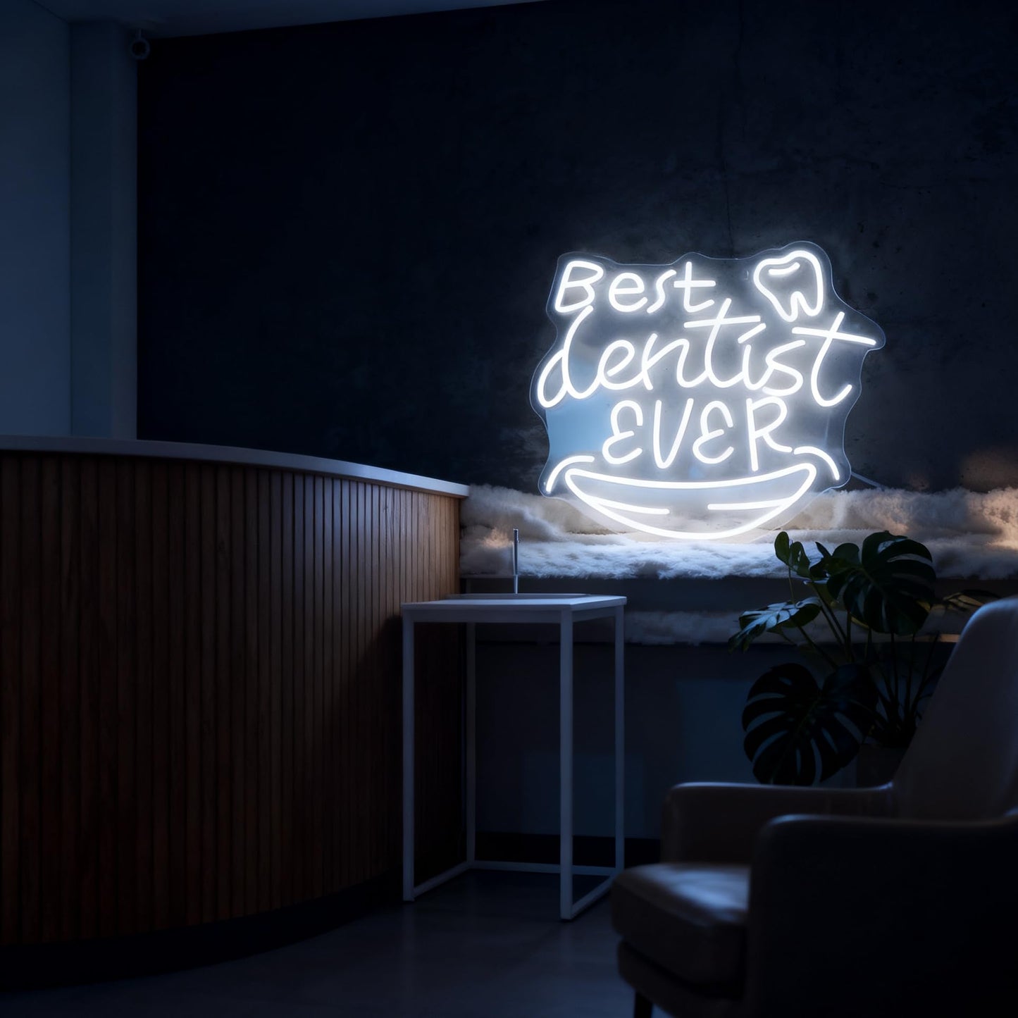 Best Dentist Ever Neon Sign, Dental Office Clinic Dentist Room Home Gift Wall Table Decor, USB Powered Dimmable Decorative Neon Light 15.2 x 13 In