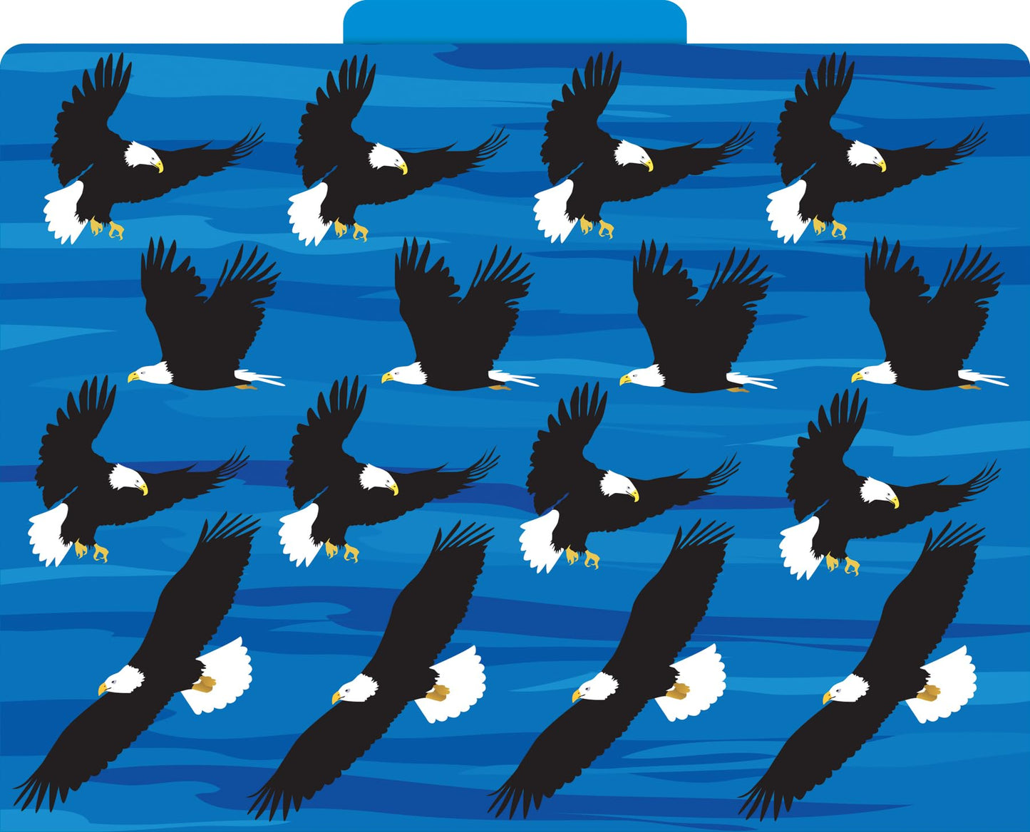 Barker Creek Sea & Sky File Folders Now on Durable 14pt Stock, 12/PK, Letter Size, 1/3 Cut Tabs, Reversible, Home, School and Office Supplies (2015)