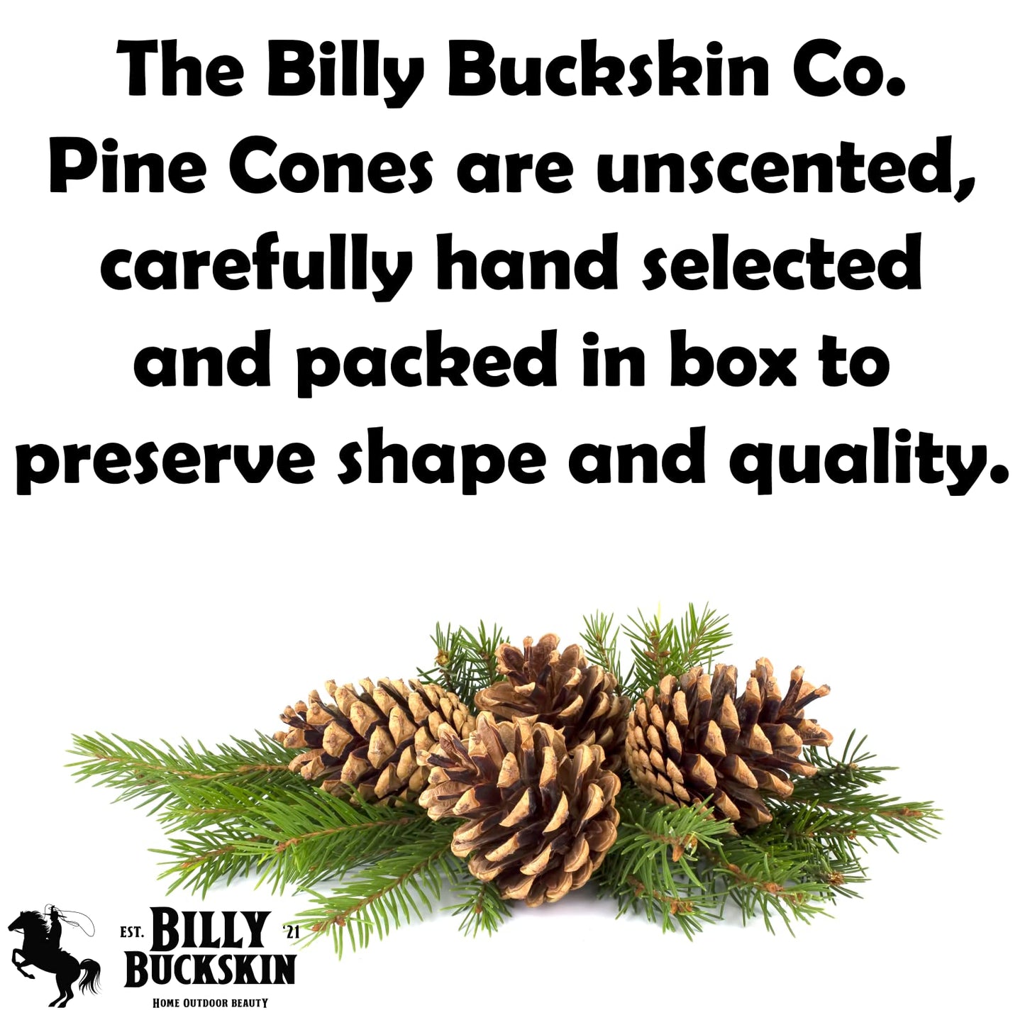 20 Large Natural Pine Cones for Crafts, 3" to 4" Tall Pine Cones Craft for Table, Home Decor, Vase Fillers, Desk & Christmas Trees, Unscented Pinecones Crafts Ornament for Decorating by Billy Buckskin