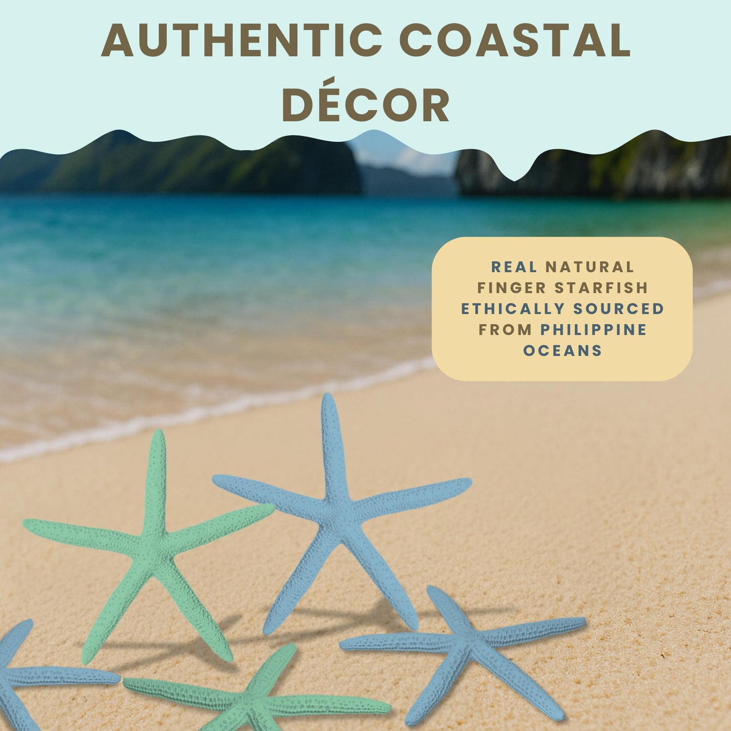 Starfish Decor - Star Fish for Craft - 10pk Real 2-4" Green Blue White Sea Stars - Beach Wedding Decor - Coastal Party Decorations