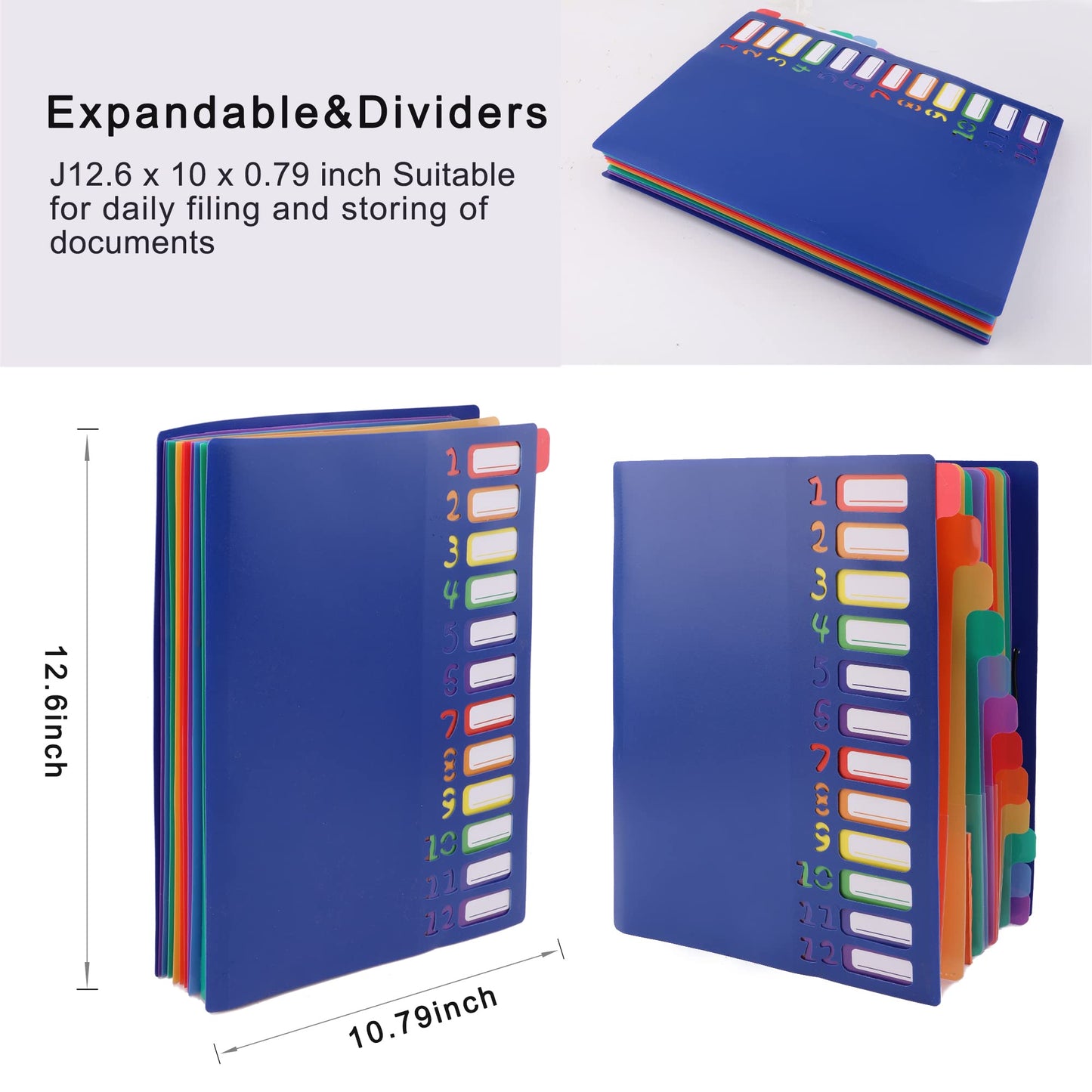 Edufun Rainbow Tab Expanding File Folder - 24 Pockets, Durable A4 Letter Size Organizer, Water-Resistant Plastic Dividers, Home/Office/School Document Holder (Blue)