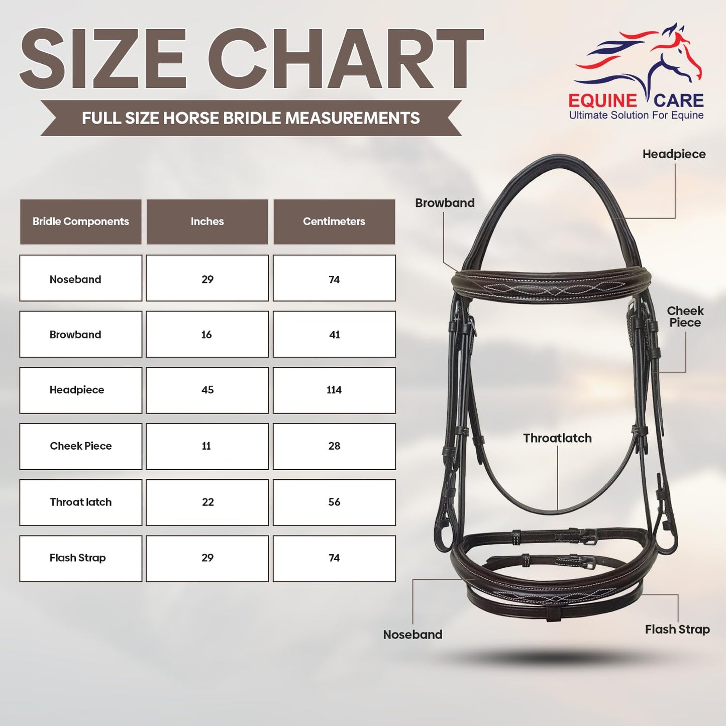 Equine Care English Horse Bridle with Reins – Fancy-Stitched, Padded Comfort Crown & Noseband, Vegetable-Tanned Leather, Stainless Steel Fittings, Full Size Hunter Jumper Tack