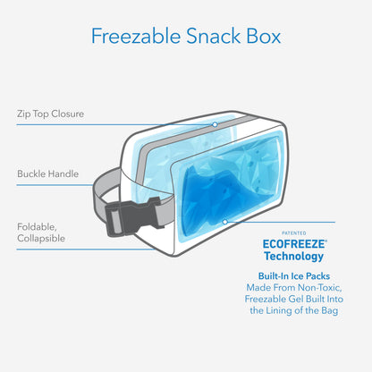 PackIt® Freezable Snack Box, Checked Out, Built with ECOFREEZE Technology, Collapsible, Reusable, Zip Closure with Buckle Handle, Designed For Work Snacks, Fresh Snacks On the Go, Adults, and All Ages
