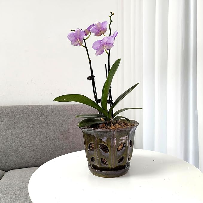 Orchid Pots with Holes 6 inch Ceramic Orchid Pot with Attached Saucer and Drainage Hole (mossgreen)